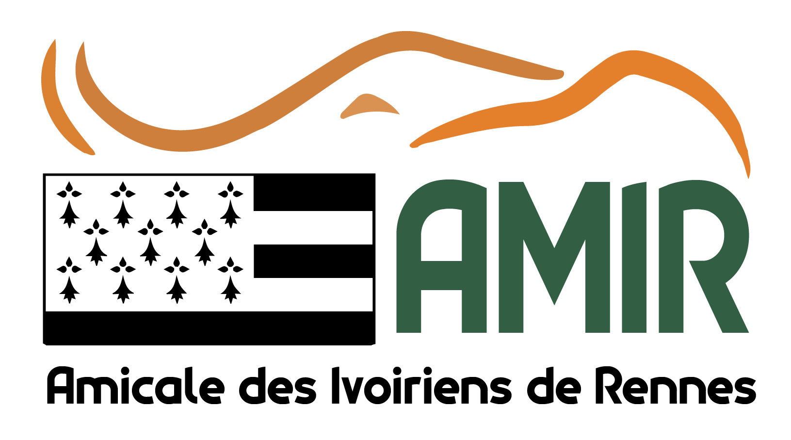 Logo Amicale des Ivoiriens de Rennes